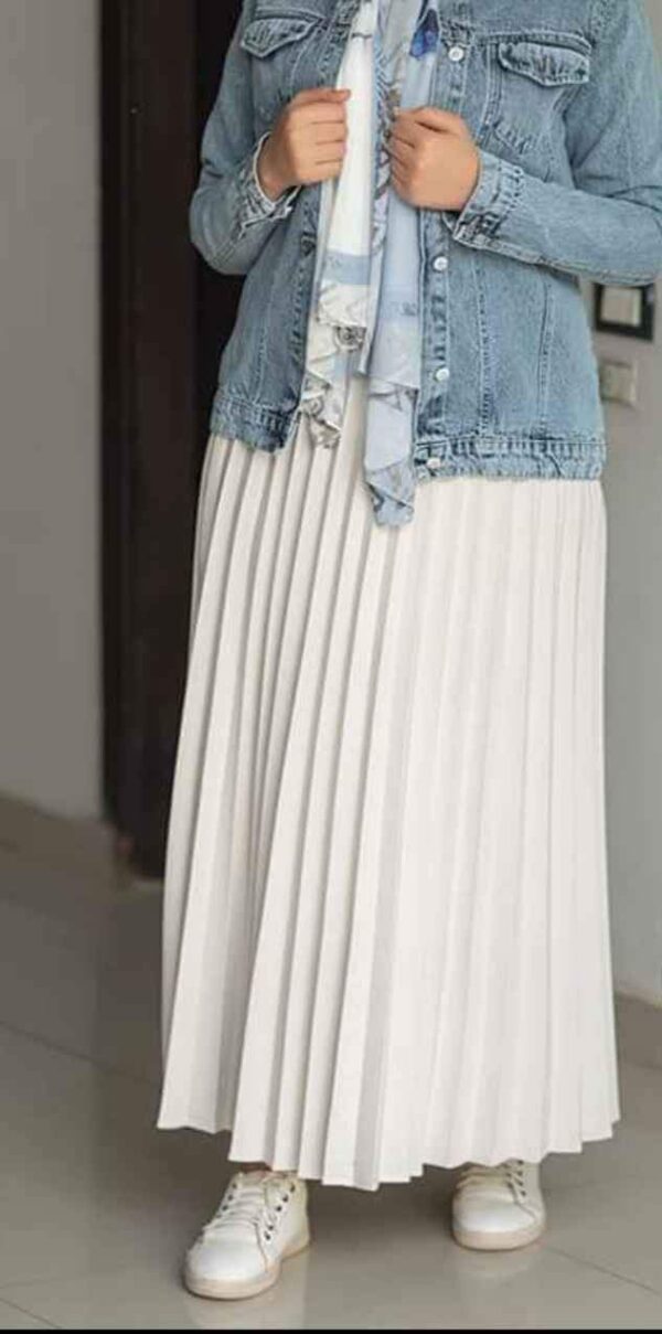 Circle Pleated Skirt