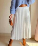 Circle Pleated Skirt