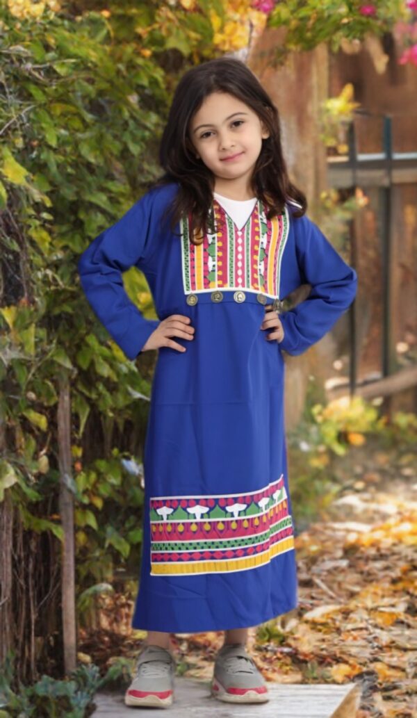 Blue embroidery Dress