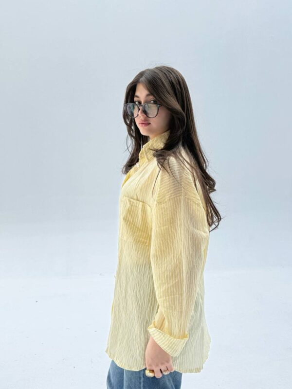 The Timeless Pinstripe Shirt